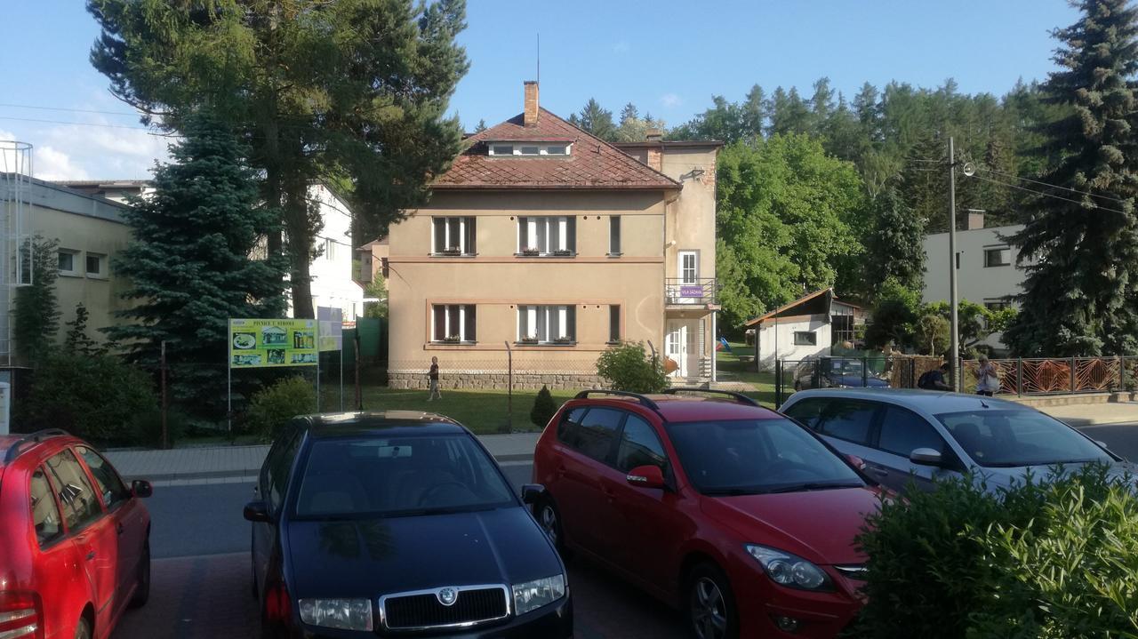 Vila Sazava Екстериор снимка